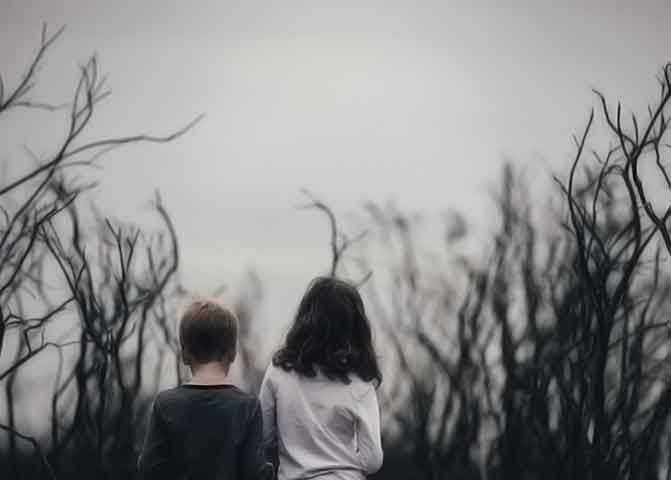 求一个器测压文章